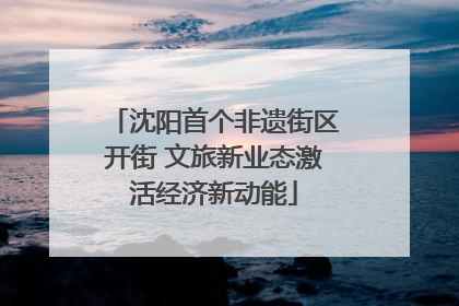 沈阳首个非遗街区开街 文旅新业态激活经济新动能