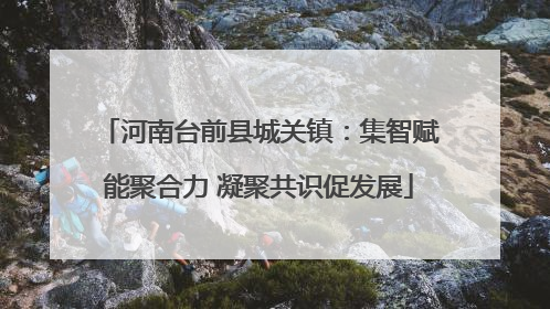 河南台前县城关镇：集智赋能聚合力 凝聚共识促发展