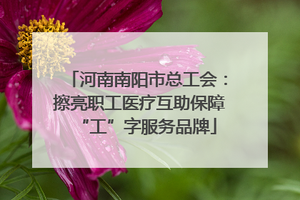 河南南阳市总工会：擦亮职工医疗互助保障“工”字服务品牌