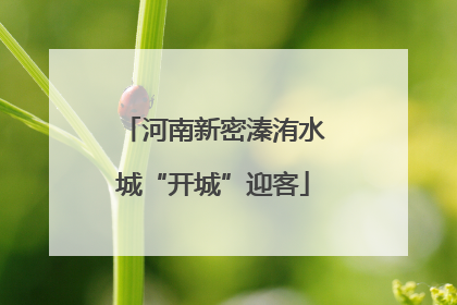 河南新密溱洧水城“开城”迎客