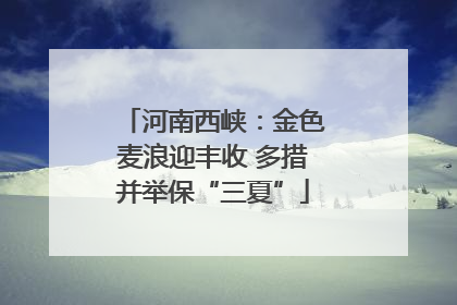 河南西峡：金色麦浪迎丰收 多措并举保“三夏”