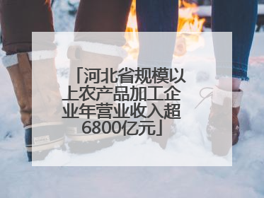 河北省规模以上农产品加工企业年营业收入超6800亿元