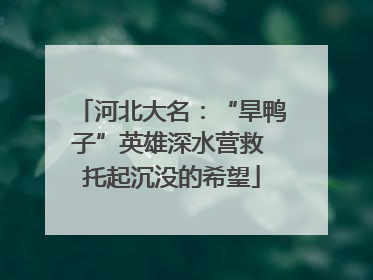 河北大名：“旱鸭子”英雄深水营救 托起沉没的希望