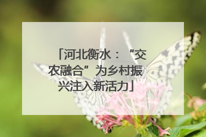 河北衡水：“交农融合”为乡村振兴注入新活力