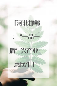 河北邯郸：“一品一播”兴产业惠民生