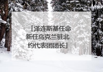 泽连斯基任命新任乌克兰驻北约代表团团长