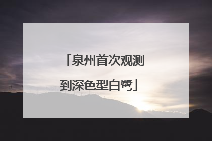泉州首次观测到深色型白鹭