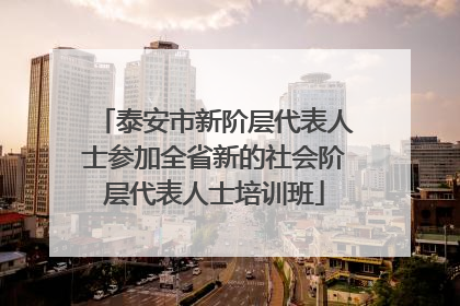 泰安市新阶层代表人士参加全省新的社会阶层代表人士培训班