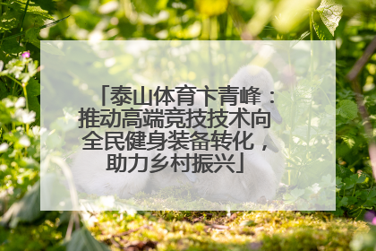 泰山体育卞青峰：推动高端竞技技术向全民健身装备转化，助力乡村振兴