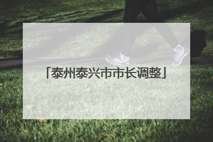 泰州泰兴市市长调整