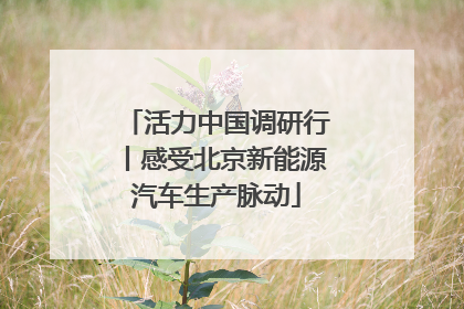 活力中国调研行丨感受北京新能源汽车生产脉动