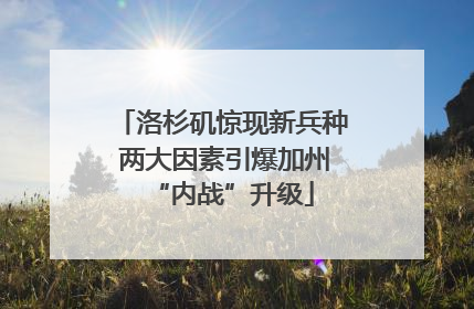 洛杉矶惊现新兵种 两大因素引爆加州“内战”升级
