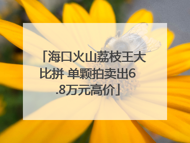 海口火山荔枝王大比拼 单颗拍卖出6.8万元高价