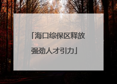 海口综保区释放强劲人才引力