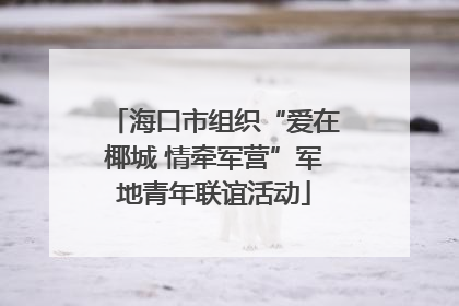 海口市组织“爱在椰城 情牵军营”军地青年联谊活动