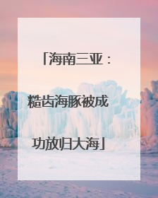 海南三亚：糙齿海豚被成功放归大海