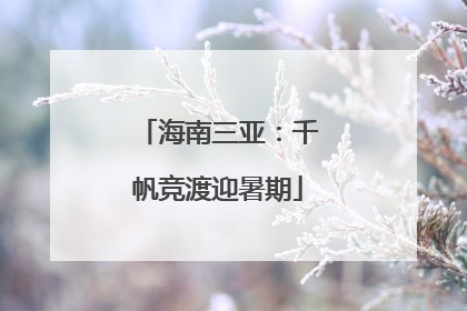 海南三亚：千帆竞渡迎暑期