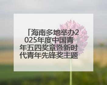 海南多地举办2025年度中国青年五四奖章暨新时代青年先锋奖主题宣讲活动