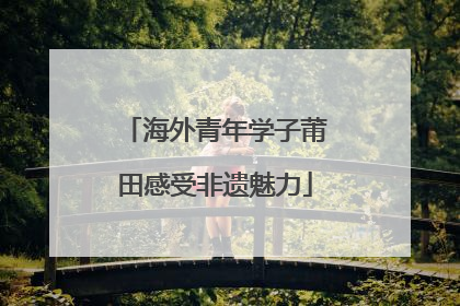 海外青年学子莆田感受非遗魅力