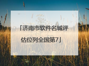 济南市软件名城评估位列全国第7