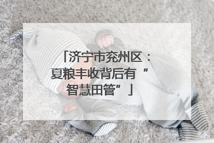 济宁市兖州区：夏粮丰收背后有“智慧田管”