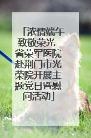 浓情端午致敬荣光 省荣军医院赴荆门市光荣院开展主题党日暨慰问活动