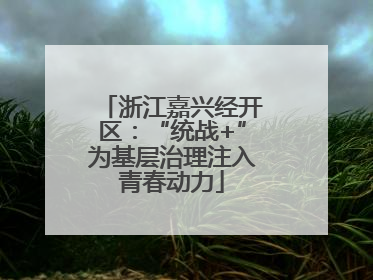 浙江嘉兴经开区：“统战+”为基层治理注入青春动力