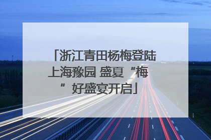 浙江青田杨梅登陆上海豫园 盛夏“梅”好盛宴开启