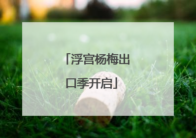 浮宫杨梅出口季开启