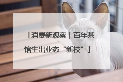 消费新观察｜百年茶馆生出业态“新枝”