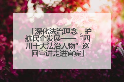 深化法治理念，护航民企发展——“四川十大法治人物”巡回宣讲走进宜宾