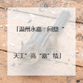 温州永嘉：问鼎“天工”亮“嘉”绩