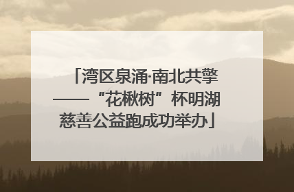 湾区泉涌·南北共擎——“花楸树”杯明湖慈善公益跑成功举办
