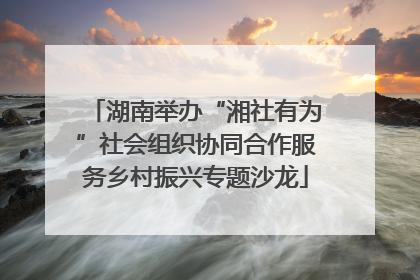 湖南举办“湘社有为”社会组织协同合作服务乡村振兴专题沙龙