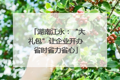 湖南江永：“大礼包”让企业开办省时省力省心