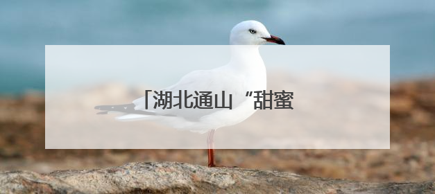 湖北通山“甜蜜产业”焕新机