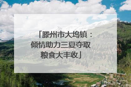 滕州市大坞镇：倾情助力三夏夺取粮食大丰收