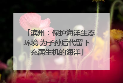 滨州：保护海洋生态环境 为子孙后代留下充满生机的海洋