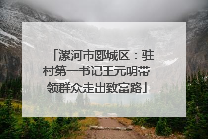漯河市郾城区：驻村第一书记王元明带领群众走出致富路