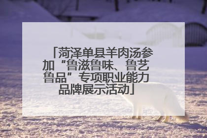 菏泽单县羊肉汤参加“鲁滋鲁味、鲁艺鲁品”专项职业能力品牌展示活动