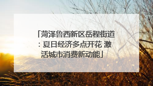 菏泽鲁西新区岳程街道：夏日经济多点开花 激活城市消费新动能