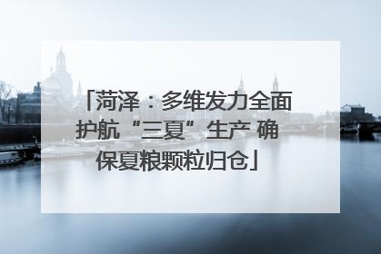 菏泽：多维发力全面护航“三夏”生产 确保夏粮颗粒归仓