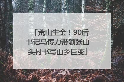 荒山生金！90后书记马传力带领张山头村书写山乡巨变