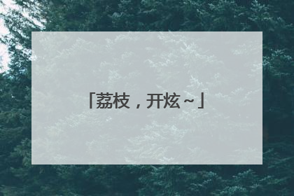荔枝，开炫～
