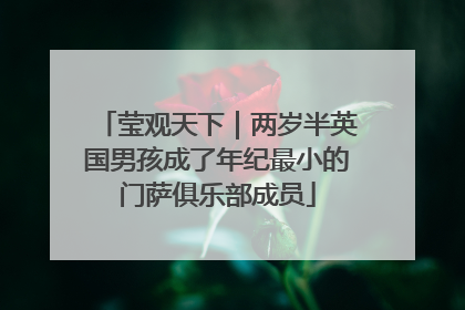 莹观天下｜两岁半英国男孩成了年纪最小的门萨俱乐部成员