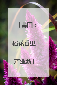 莆田：稻花香里产业新