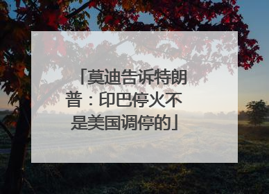 莫迪告诉特朗普：印巴停火不是美国调停的