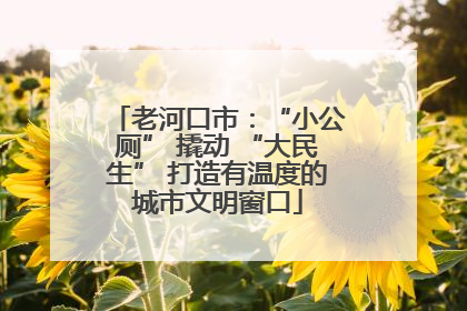 老河口市：“小公厕” 撬动 “大民生” 打造有温度的城市文明窗口