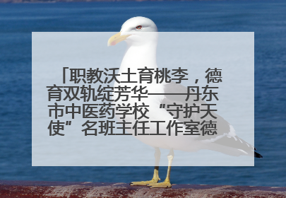 职教沃土育桃李，德育双轨绽芳华——丹东市中医药学校“守护天使”名班主任工作室德育实践之路