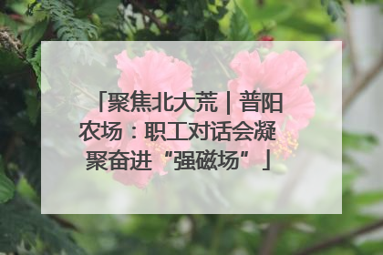 聚焦北大荒｜普阳农场：职工对话会凝聚奋进“强磁场”